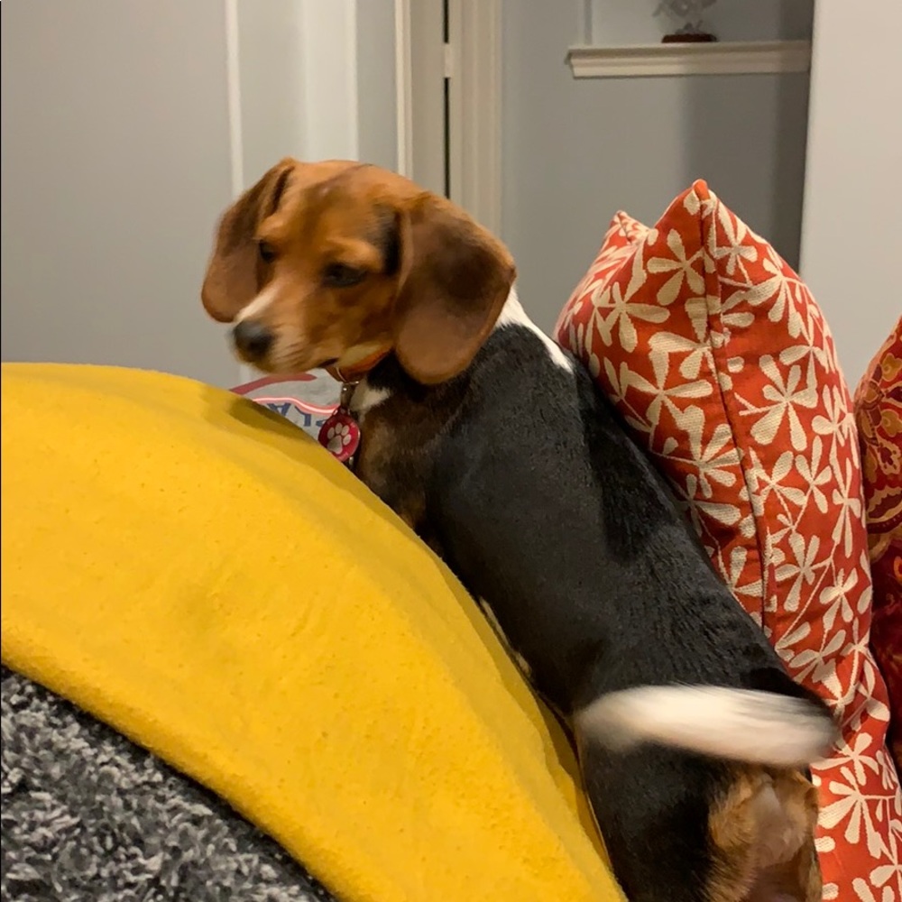 Meet your Posher, Kristine